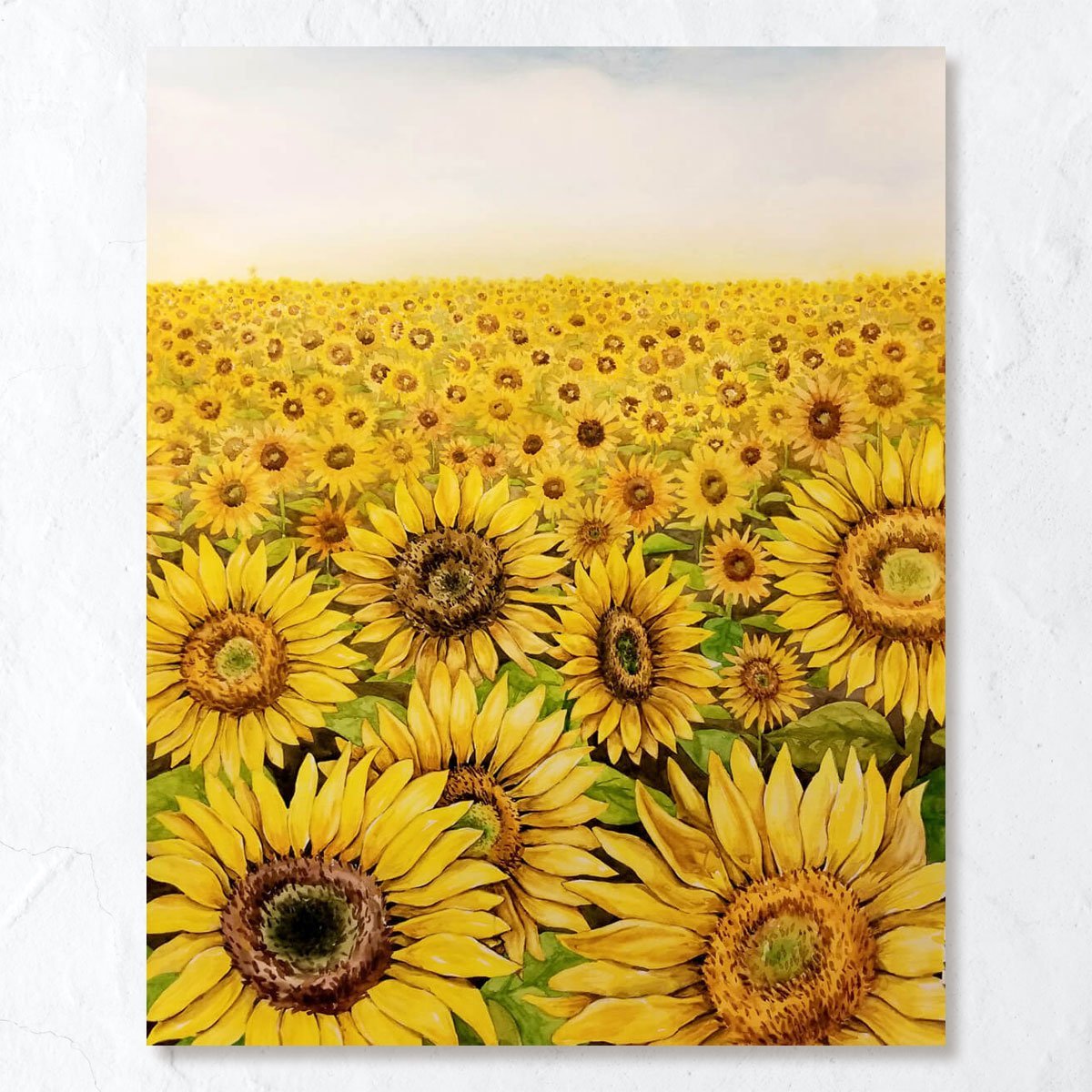 Sunflowers
