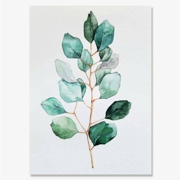 Eucalyptus No.2